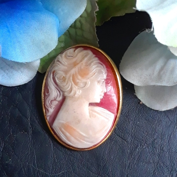 None Jewelry - Vtg. Cameo Brooch in Goldtone